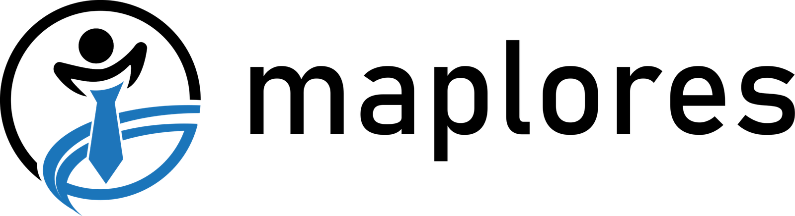 Maplores Consulting Services Maplores Consulting Services